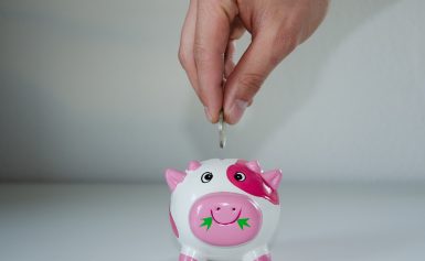 Savings Rate and savings percentage and how to calculate it